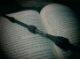 Bloomsbury Publishing reports rise in annual profit as readers embrace novels