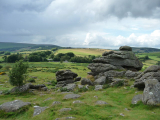  England set to welcome new national park in ambitious nature plan