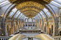 The Natural History Museum is the most visited indoor attraction in the UK