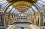 The Natural History Museum is the most visited indoor attraction in the UK