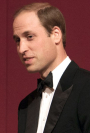 Prince William urges optimism in climate debates