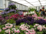 Royals and Beckham companions take center stage at Chelsea Flower Show
