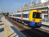 Mildmay line suspended due to animal on tracks